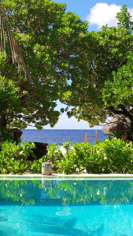 Green Lodge Moorea Temae Kültér fotó